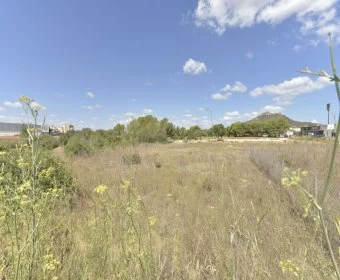 Venta Solares urbanos Cala Millor