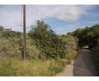 Venta Terrenos Cala Llombards