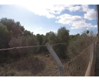 Venta Terrenos Cala Llombards