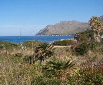 Venta Solares urbanos Betlem