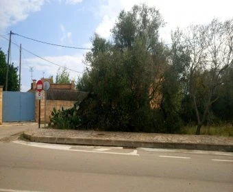 Venta Solares urbanos Sant Llorenç des Cardassar