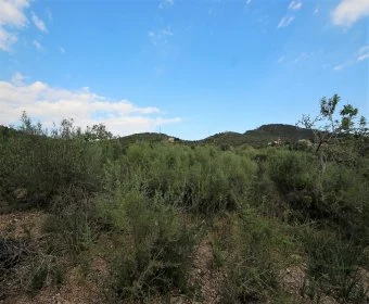 Venta Terrenos Manacor