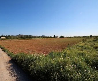 Venta Terrenos Manacor