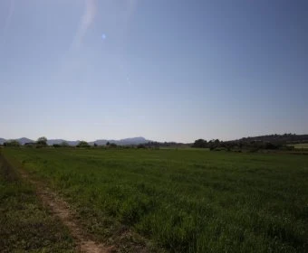 Venta Terrenos Porreres