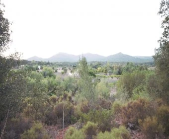 Venta Terrenos Artá