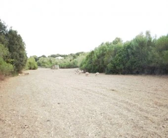 Venta Terrenos Artá