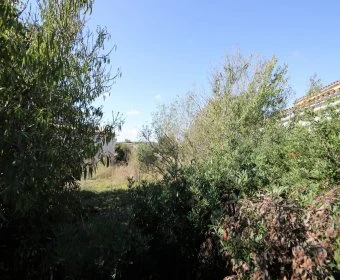 Verkauf Städtische Grundstücke Vilafranca de Bonany