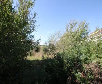 Verkauf Städtische Grundstücke Vilafranca de Bonany