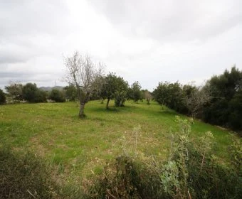 Venta Terrenos Sant Llorenç des Cardassar
