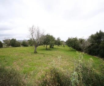 Venta Terrenos Sant Llorenç des Cardassar