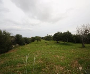 Venta Terrenos Sant Llorenç des Cardassar