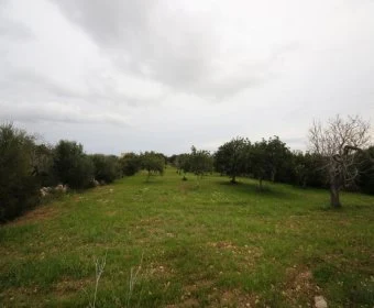 Venta Terrenos Sant Llorenç des Cardassar
