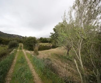 Venta Terrenos Sant Llorenç des Cardassar