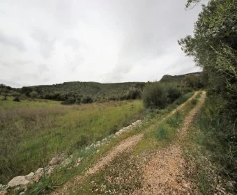 Venta Terrenos Sant Llorenç des Cardassar