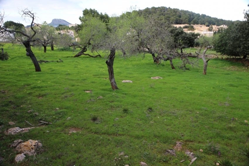 Venta Solares urbanos Cala Ratjada