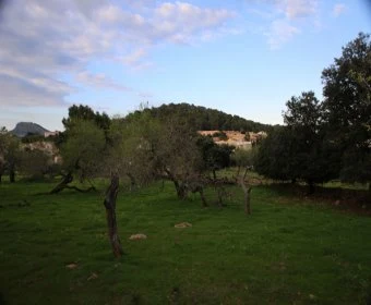 Verkauf Städtische Grundstücke Cala Ratjada