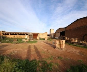 Verkauf Gewerbeflächen Vilafranca de Bonany