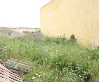 Sale Urban solar Son Carrio