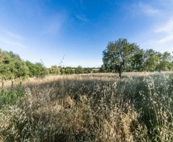 Venta Terrenos Felanitx