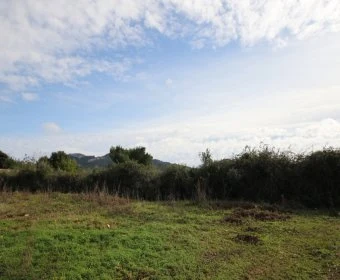 Venta Terrenos Felanitx