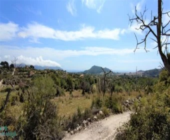 Sale Lands Son Servera