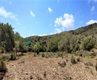 Sale Lands Son Servera