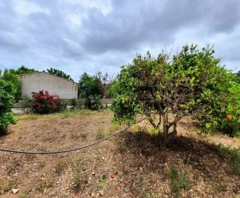 Sale Lands Son Carrio