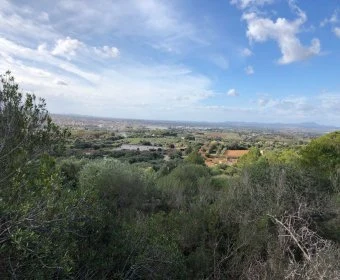 Venta Solares urbanos Manacor