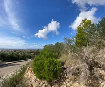 Venta Solares urbanos Manacor