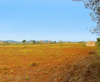Venta Terrenos Porto Cristo