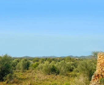 Sale Lands Sillot