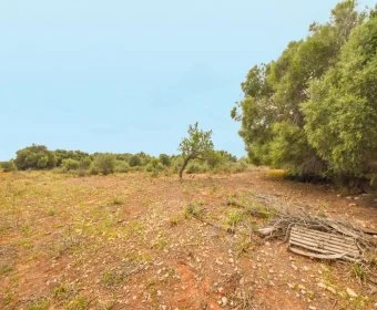 Sale Lands Calas de Mallorca