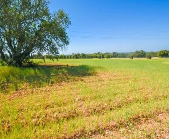 Verkauf landet Santanyí