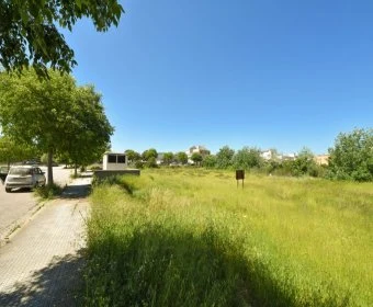 Venta Solares urbanos Artá