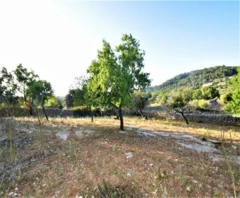 Venta Terrenos Son Servera