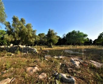 Venta Terrenos Son Servera