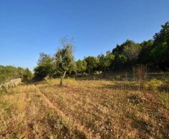 Venta Terrenos Son Servera