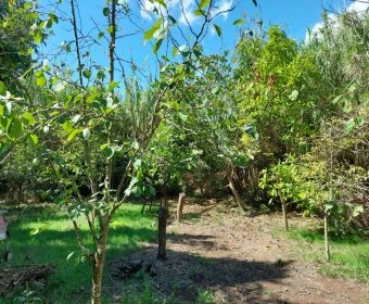 Venta Terrenos Capdepera