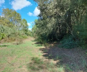 Venta Terrenos Capdepera