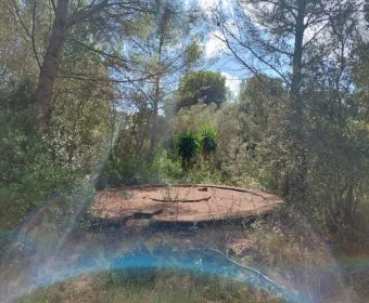 Venta Terrenos Capdepera