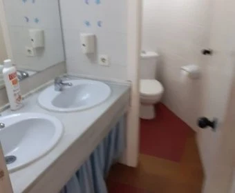 Sale Commercial premises Sa Coma