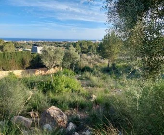 Venta Solares urbanos Son Servera