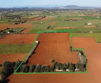 Venta Terrenos Felanitx
