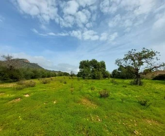 Venta Terrenos Sant Llorenç des Cardassar