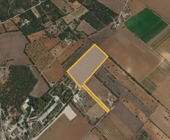 Venta Terrenos Campos