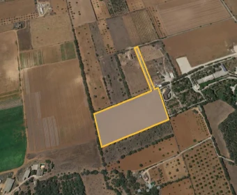 Venta Terrenos Campos