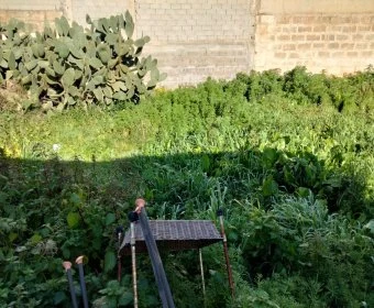 Venta Solares urbanos Manacor