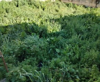 Venta Solares urbanos Manacor