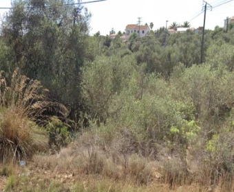 Venta Solares urbanos Cala Murada