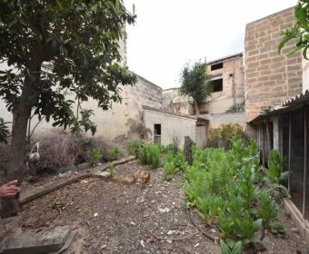 Venta Solares urbanos Manacor